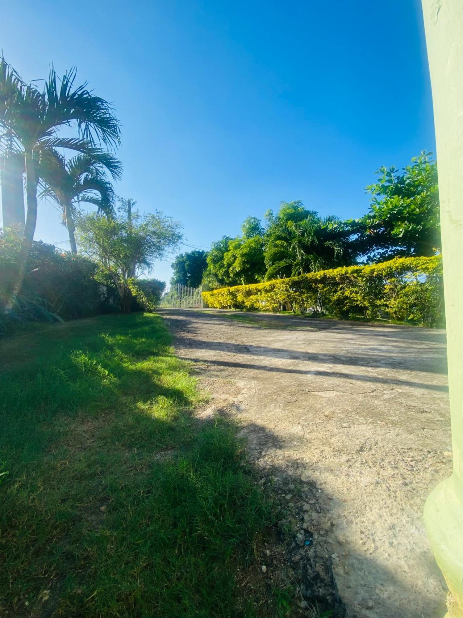Cindy'S Garden Stay Ocho Rios Eksteriør billede