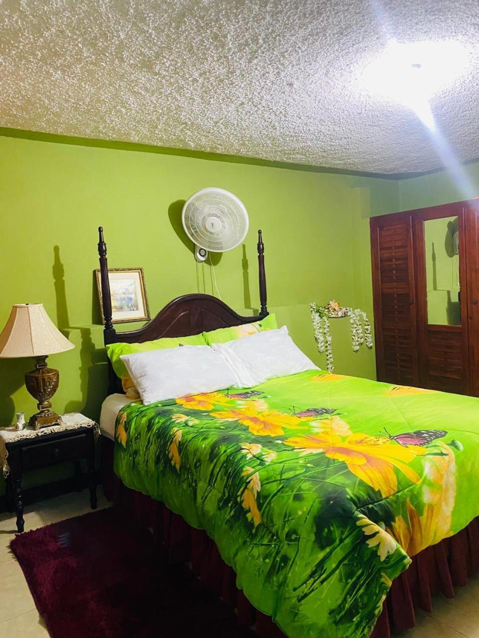 Cindy'S Garden Stay Ocho Rios Eksteriør billede